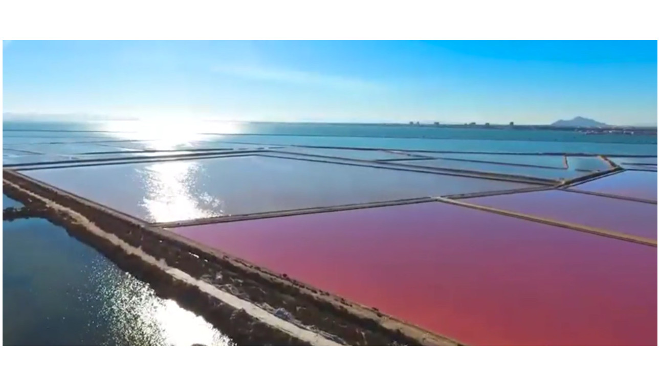 Resale - Detached Villa - Torre de la Horadada