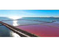 Resale - Detached Villa - Torre de la Horadada