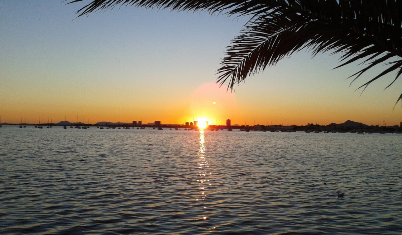 Resale - Detached Villa - Torre de la Horadada