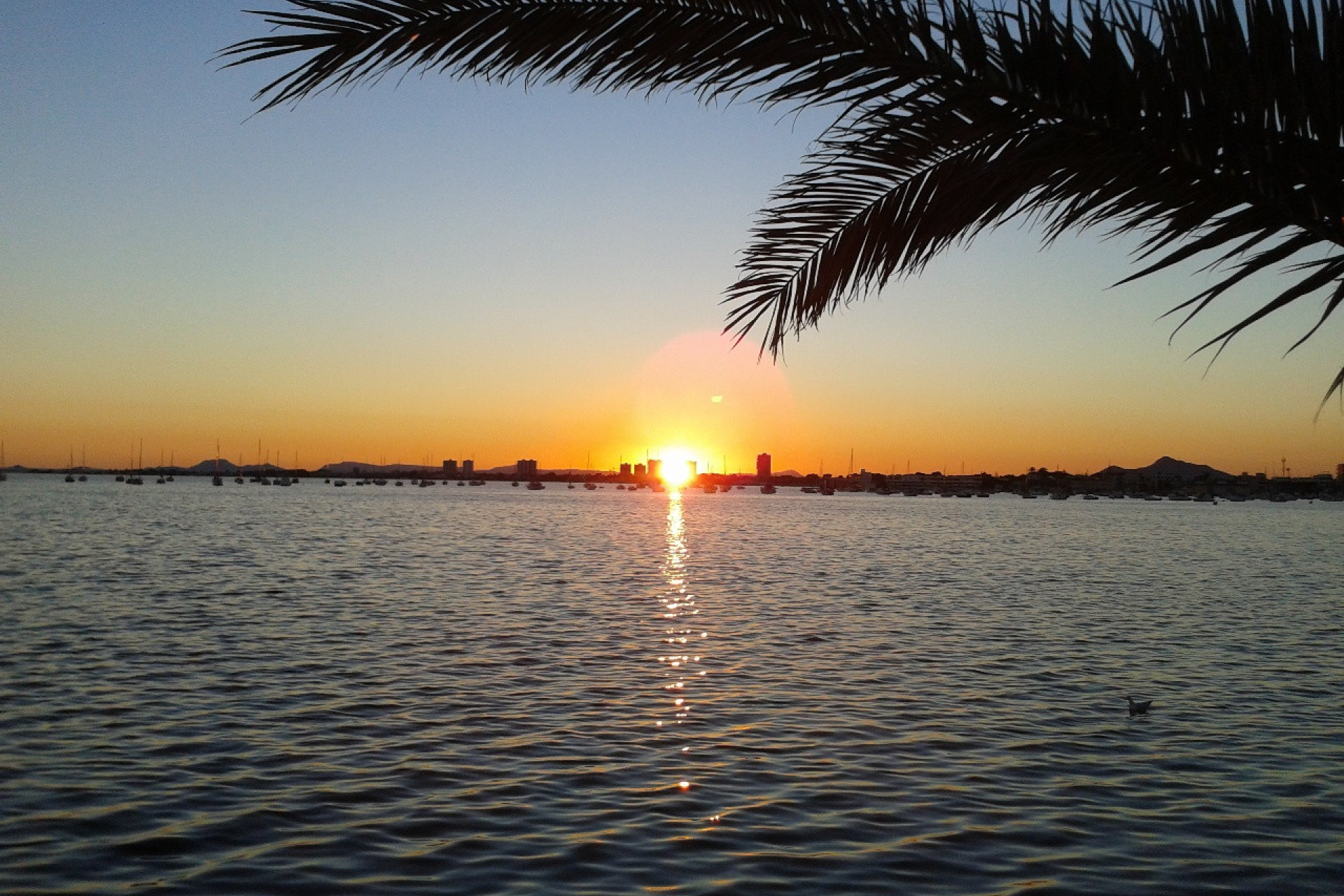 Resale - Detached Villa - Torre de la Horadada