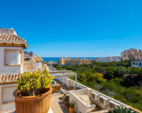 Resale - Detached Villa - Torrevieja - La Mata