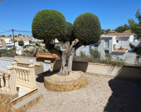 Resale - Detached Villa - Villamartín - El Galan