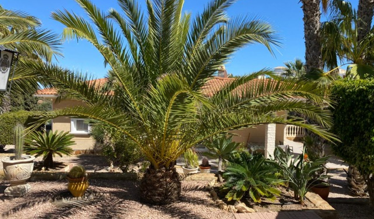 Resale - Detached Villa - Villamartín - El Galan