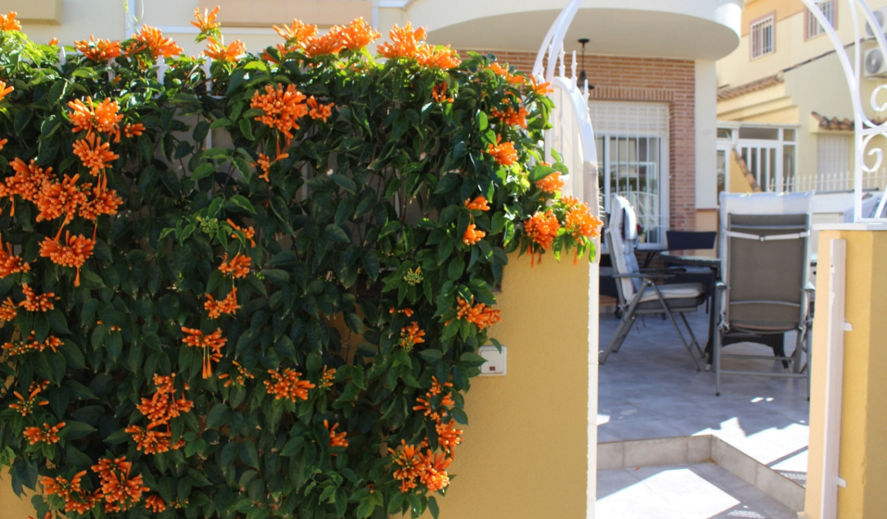 Resale - Detached Villa - Villamartín - PAU 8