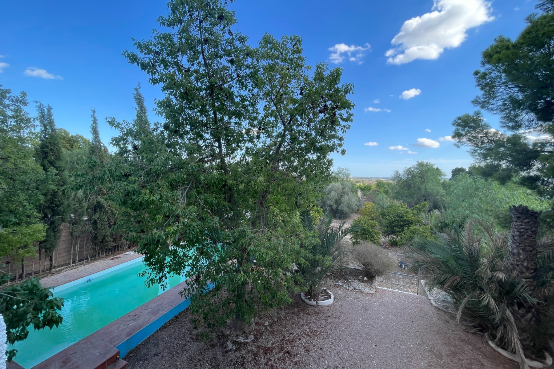 Resale - Finca / Country Property - Albatera