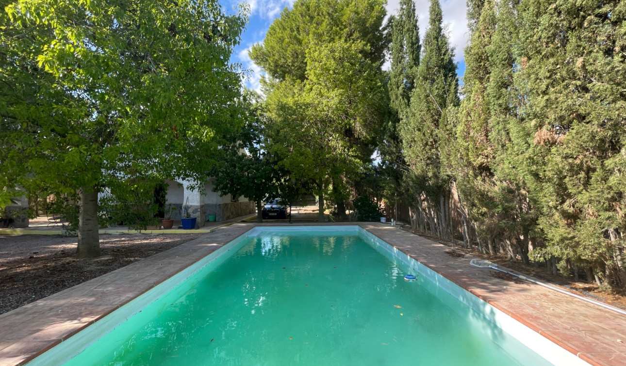 Resale - Finca / Country Property - Albatera