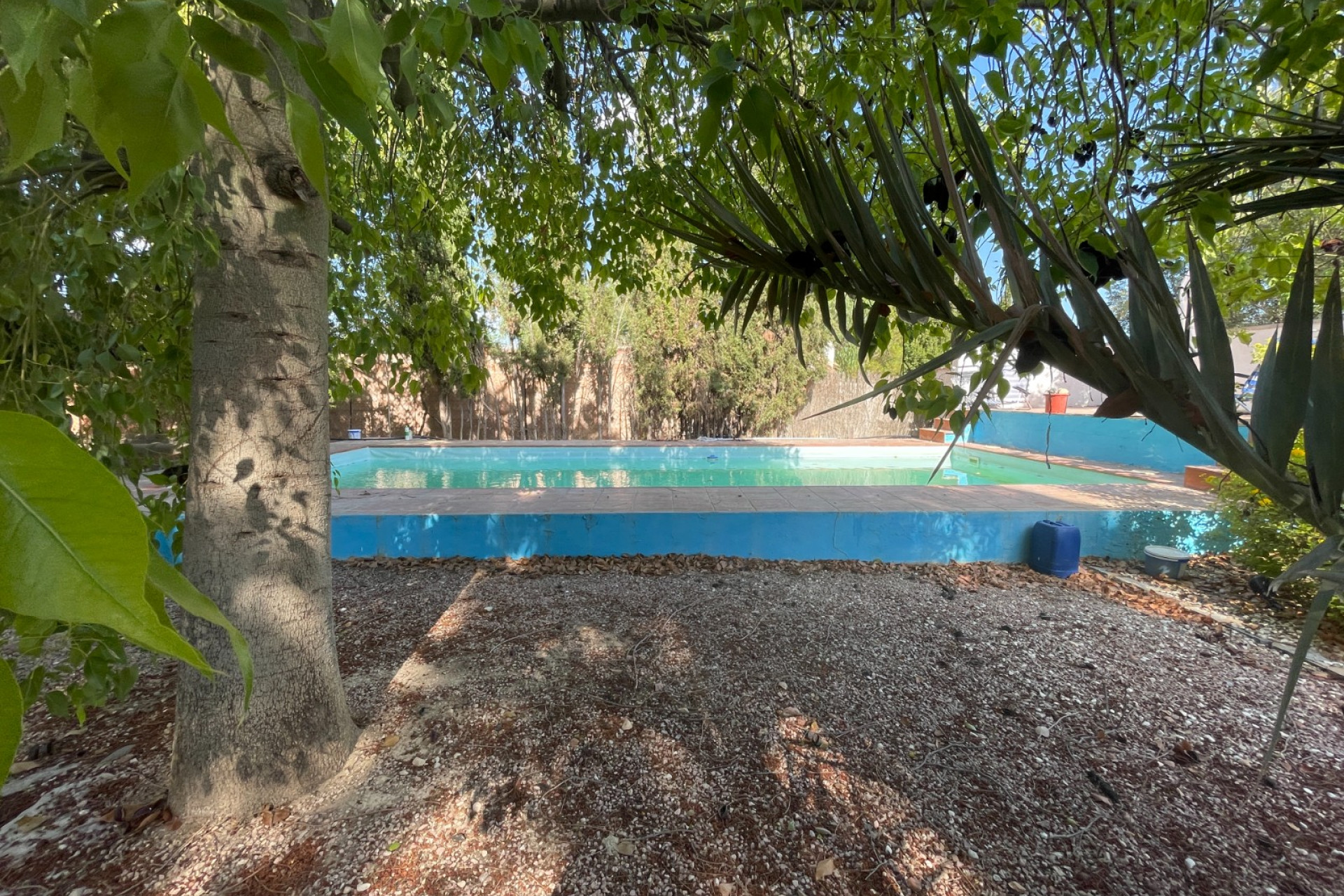 Resale - Finca / Country Property - Albatera