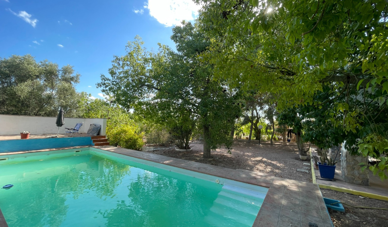 Resale - Finca / Country Property - Albatera