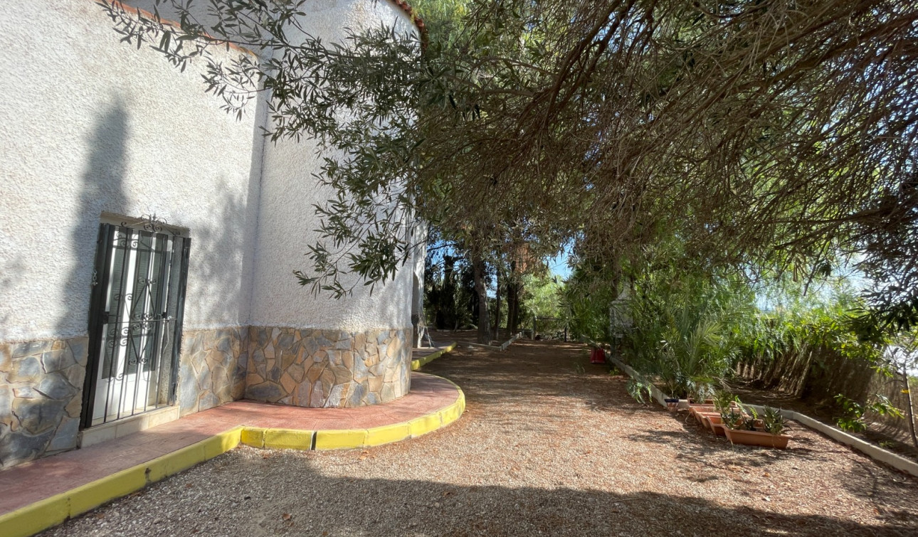 Resale - Finca / Country Property - Albatera