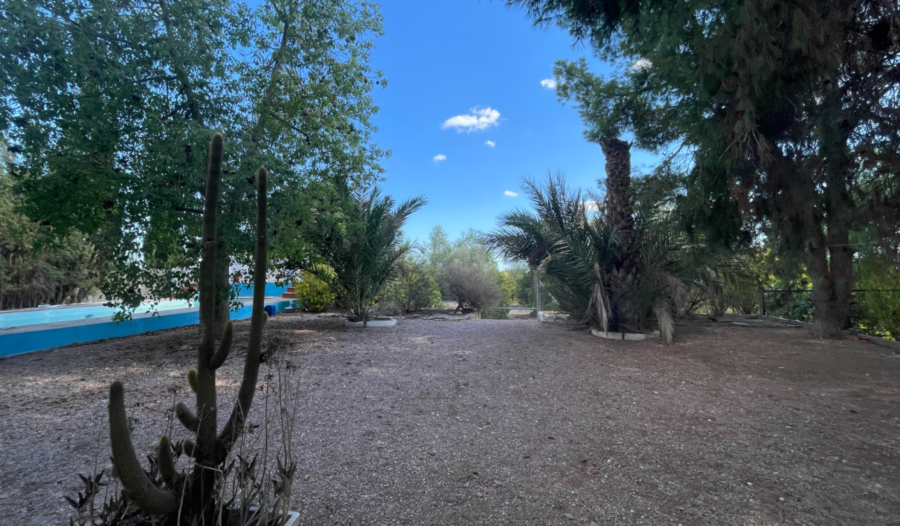 Resale - Finca / Country Property - Albatera