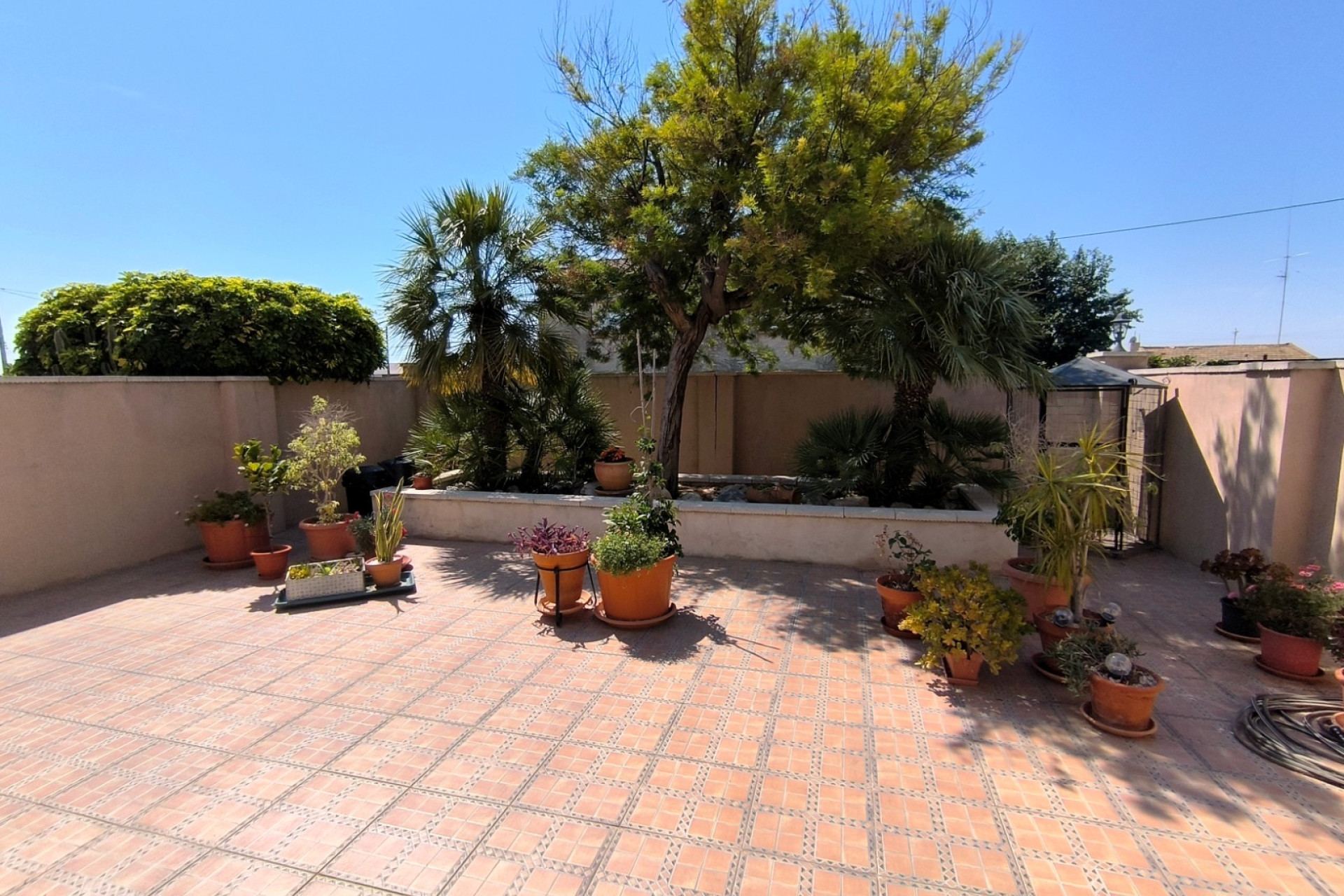 Resale - Finca / Country Property - Albatera