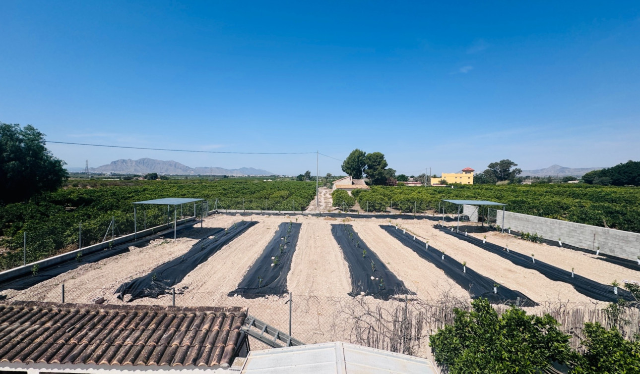 Resale - Finca / Country Property - Albatera