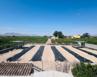 Resale - Finca / Country Property - Albatera
