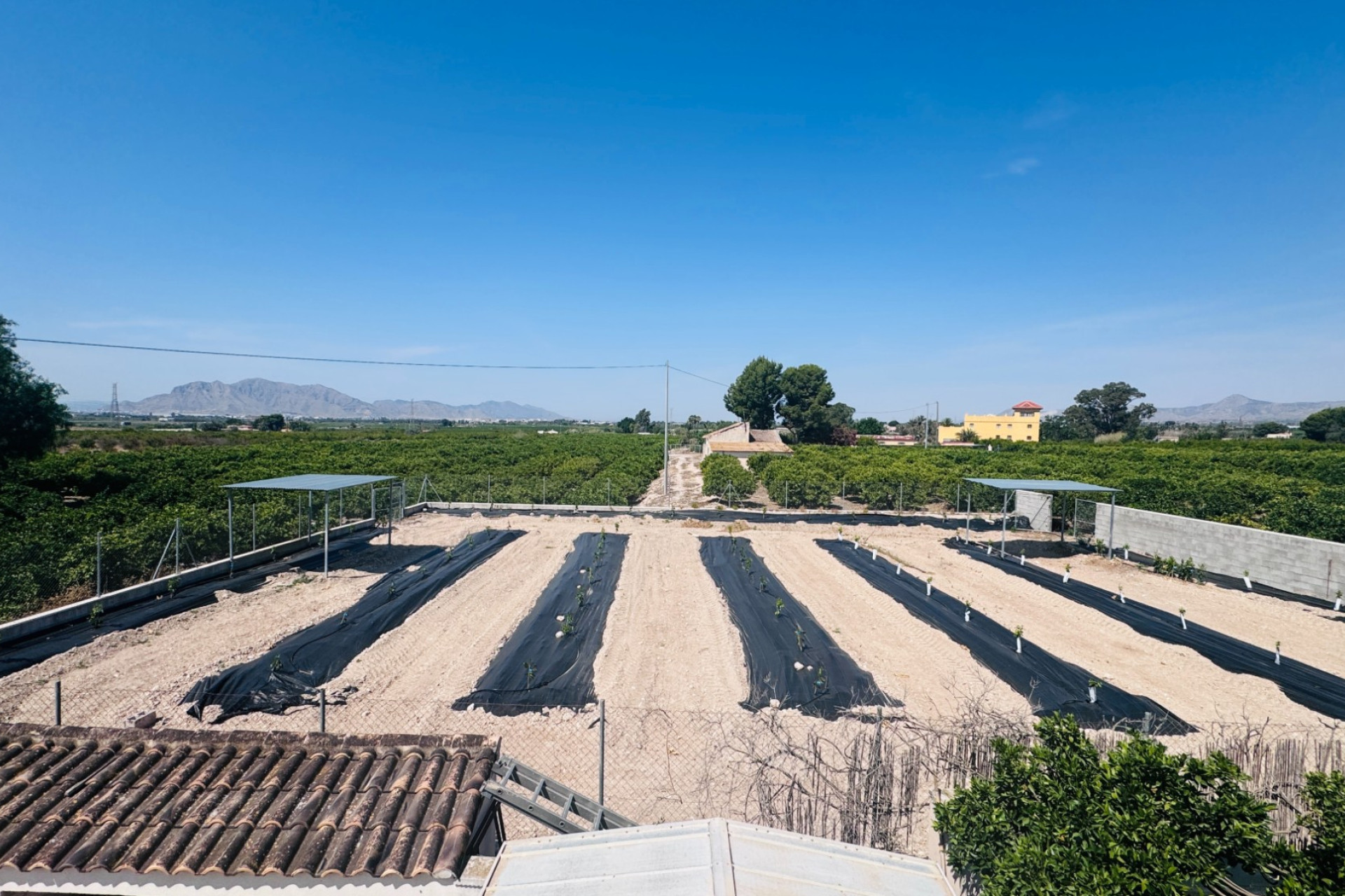 Resale - Finca / Country Property - Albatera