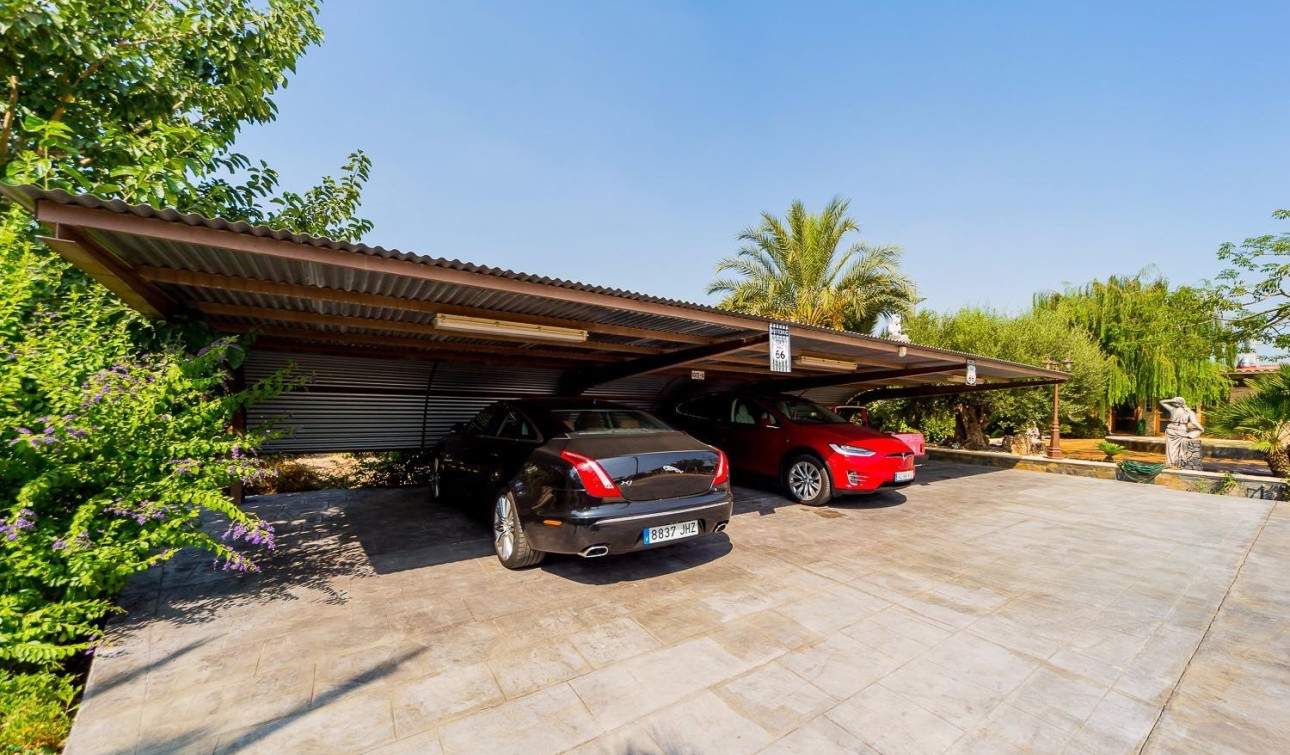 Resale - Finca / Country Property - Almoradí - Almoradi