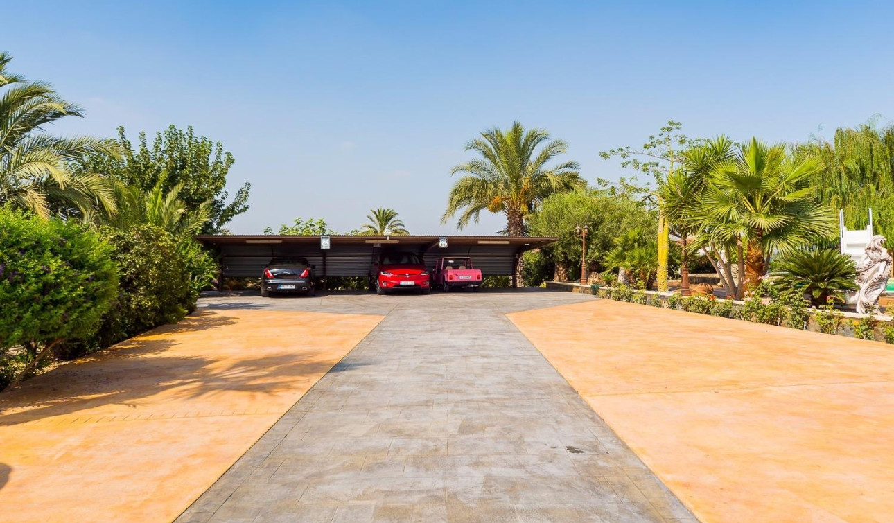 Resale - Finca / Country Property - Almoradí - Almoradi