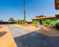 Resale - Finca / Country Property - Almoradí - Almoradi