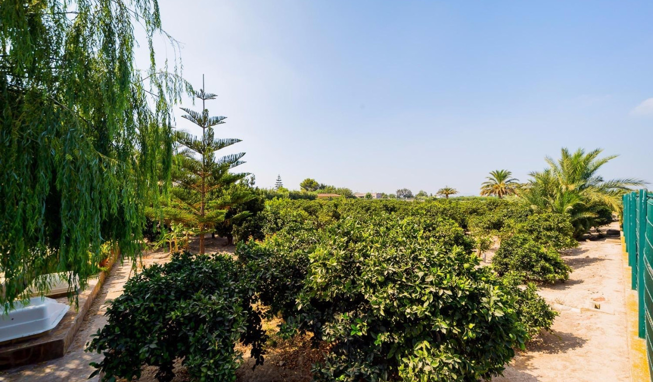 Resale - Finca / Country Property - Almoradí - Almoradi