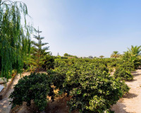 Resale - Finca / Country Property - Almoradí - Almoradi