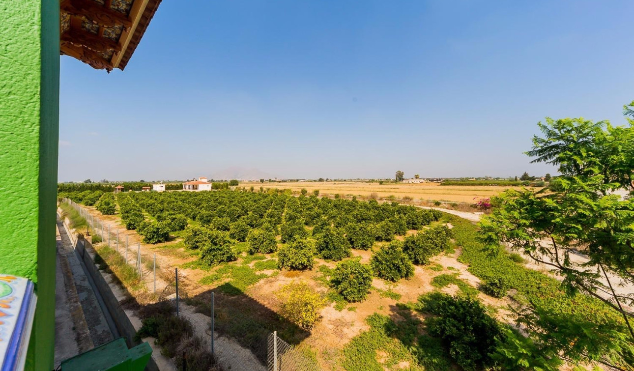 Resale - Finca / Country Property - Almoradí - Almoradi