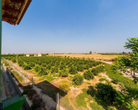 Resale - Finca / Country Property - Almoradí - Almoradi