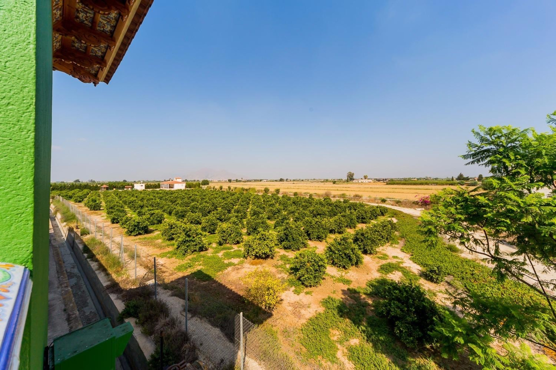 Resale - Finca / Country Property - Almoradí - Almoradi