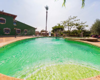 Resale - Finca / Country Property - Almoradí - Almoradi