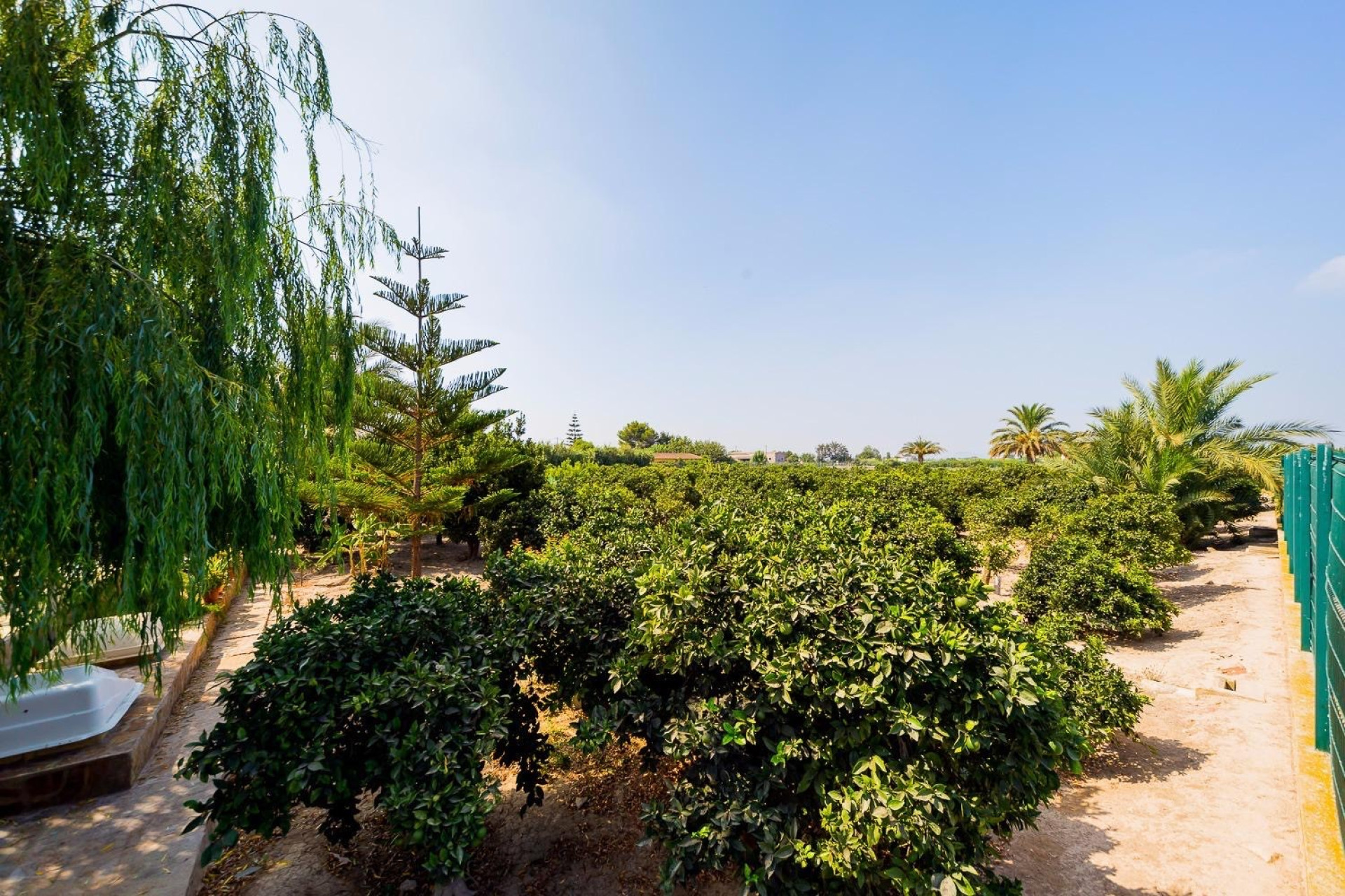Resale - Finca / Country Property - Almoradí - Almoradi