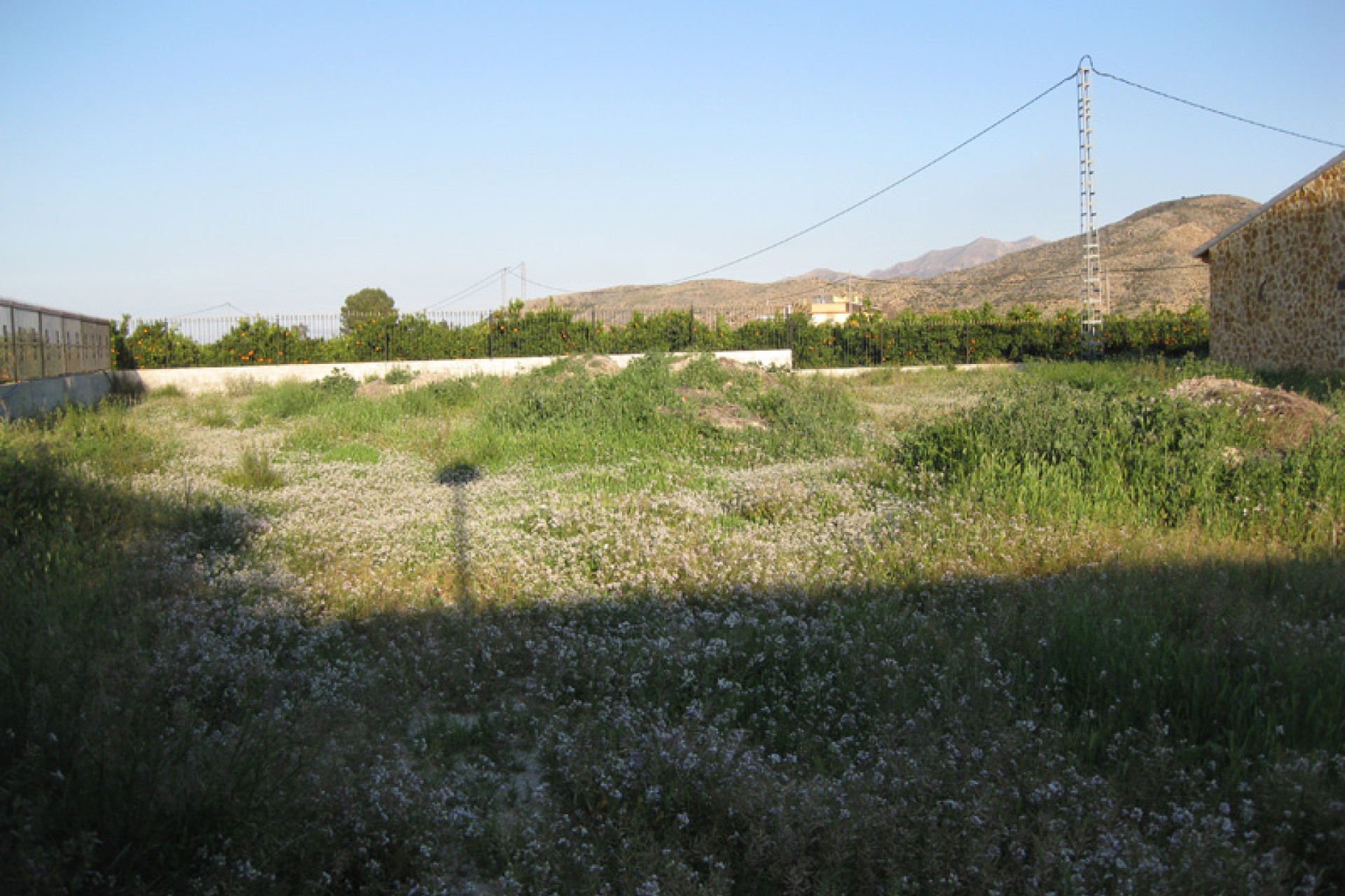 Resale - Finca / Country Property - Benferri