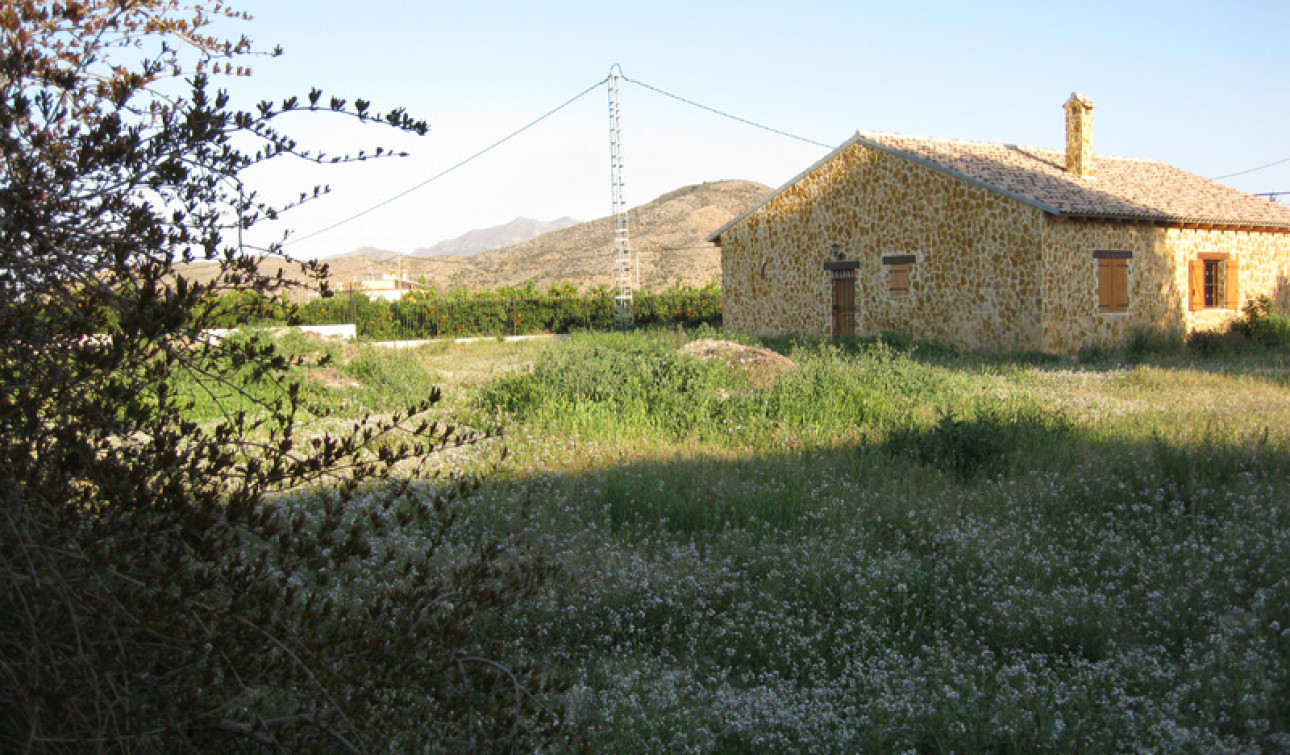 Resale - Finca / Country Property - Benferri