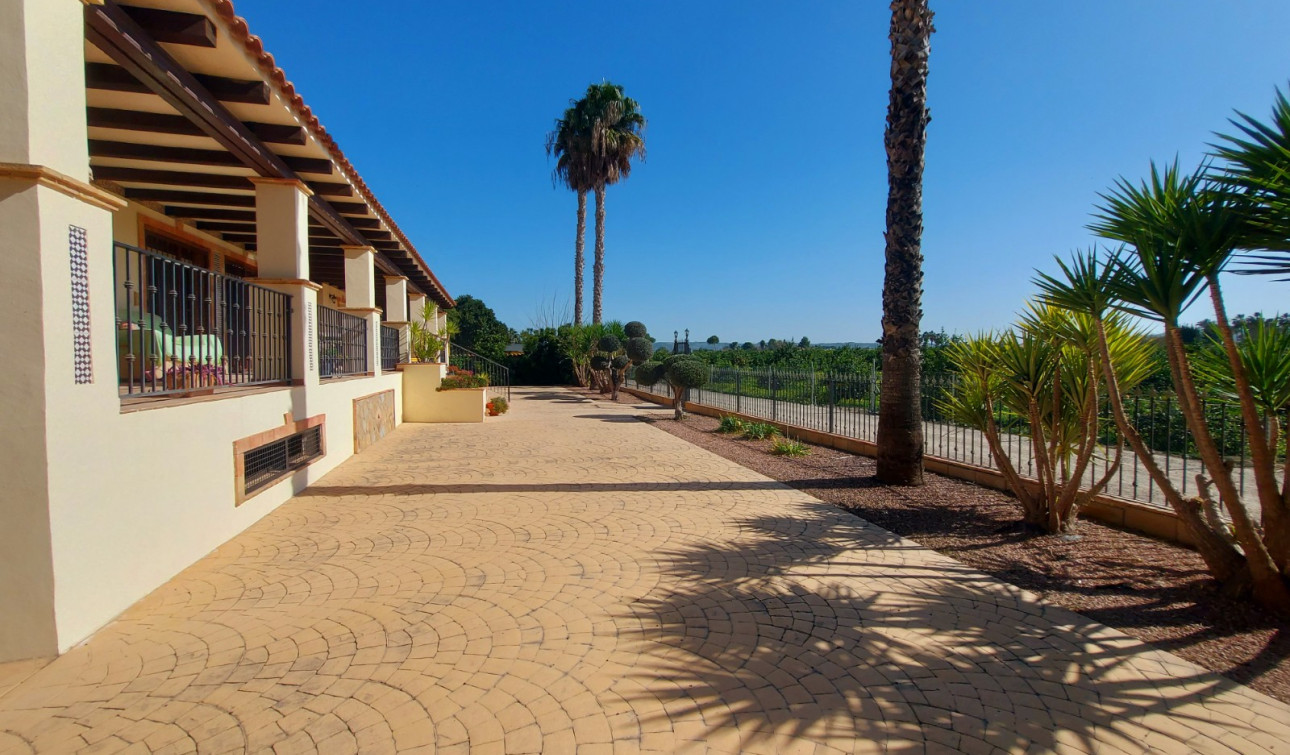 Resale - Finca / Country Property - Bigastro