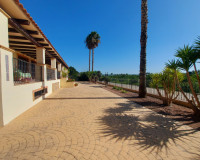 Resale - Finca / Country Property - Bigastro