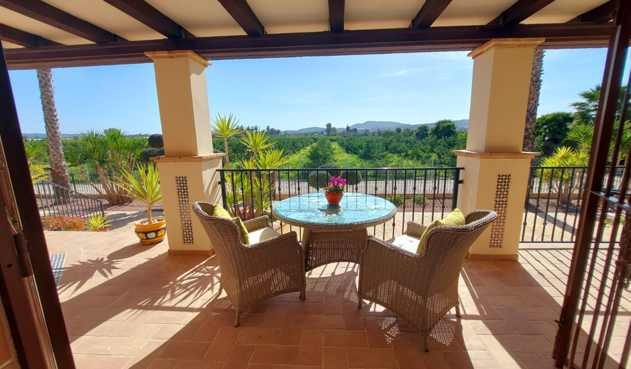 Resale - Finca / Country Property - Bigastro