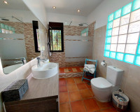 Resale - Finca / Country Property - Bigastro