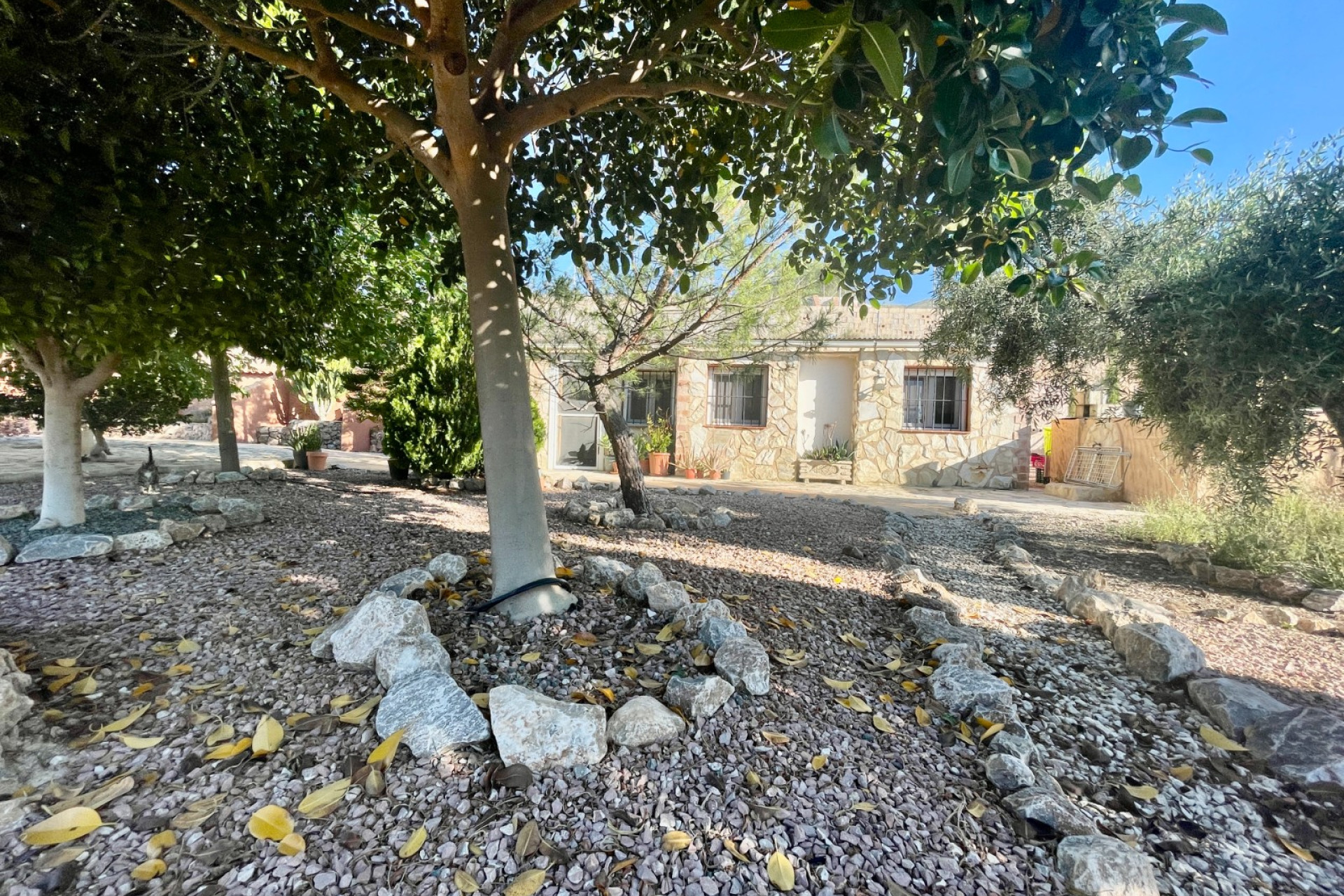 Resale - Finca / Country Property - Crevillente