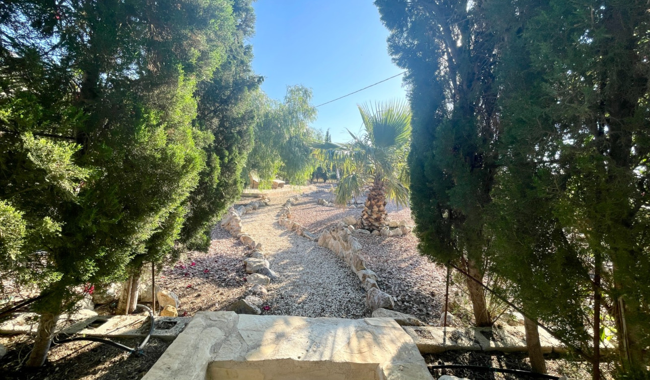 Resale - Finca / Country Property - Crevillente