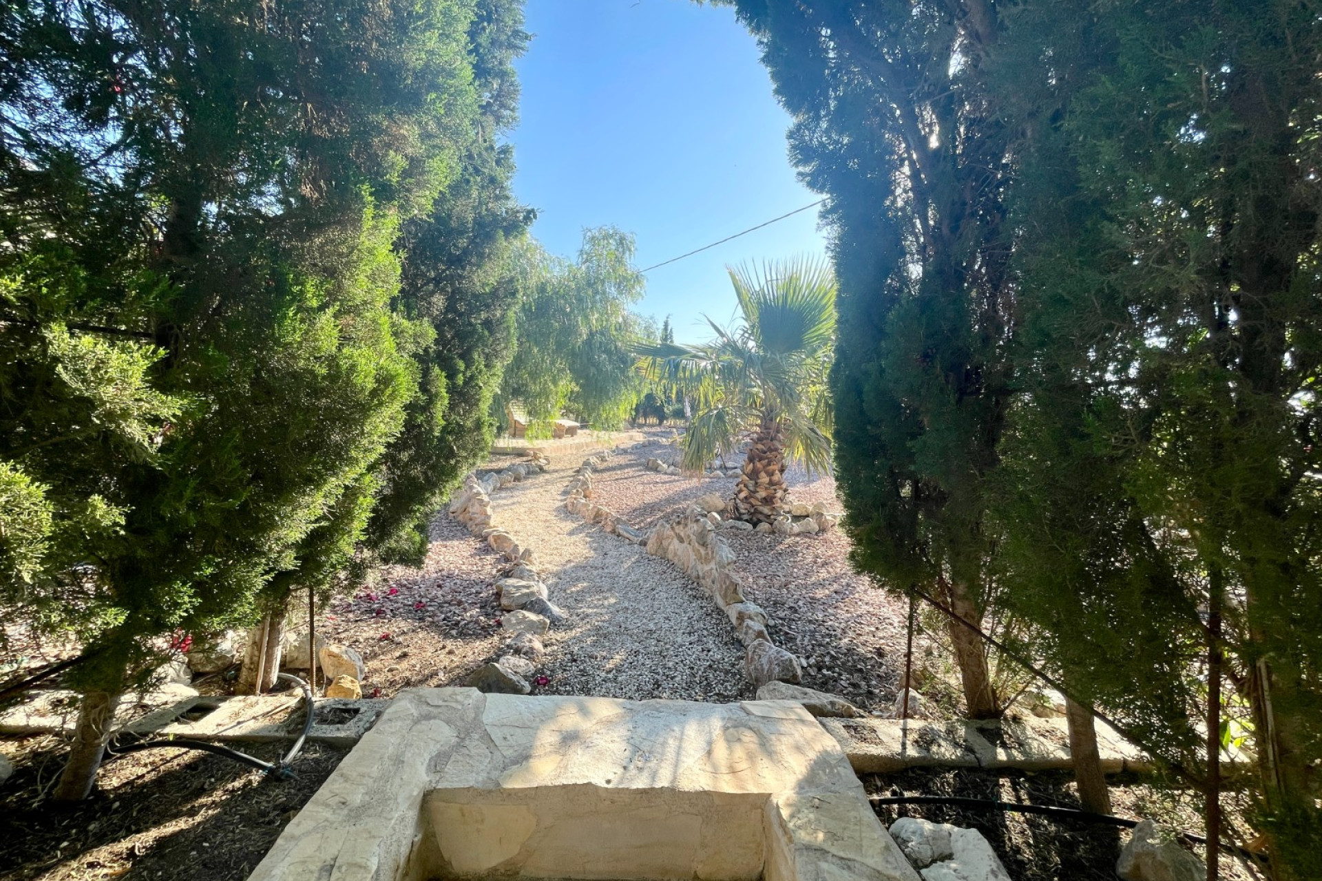 Resale - Finca / Country Property - Crevillente