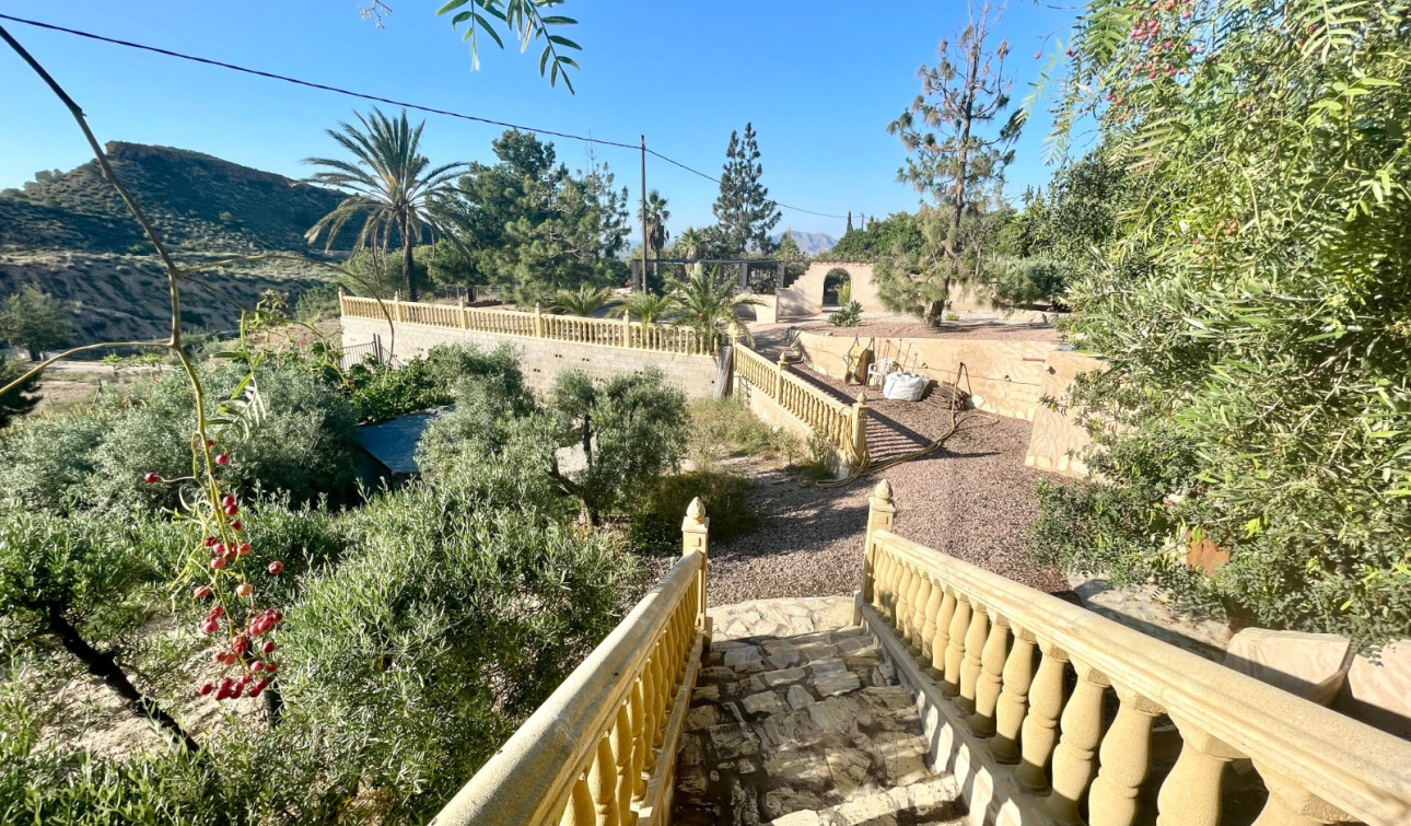 Resale - Finca / Country Property - Crevillente