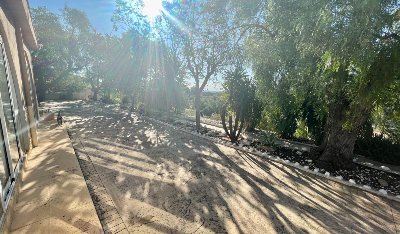 Resale - Finca / Country Property - Crevillente