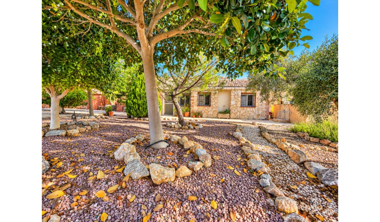 Resale - Finca / Country Property - Crevillente