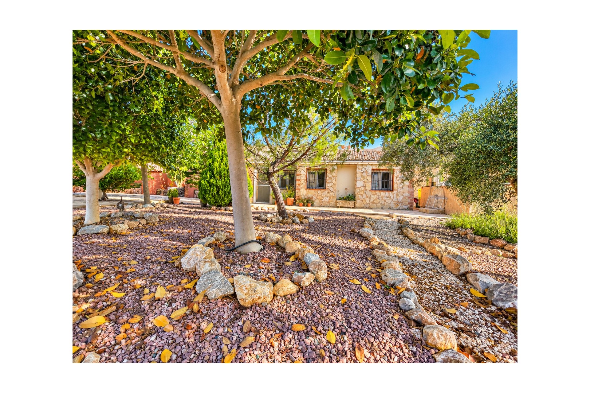 Resale - Finca / Country Property - Crevillente