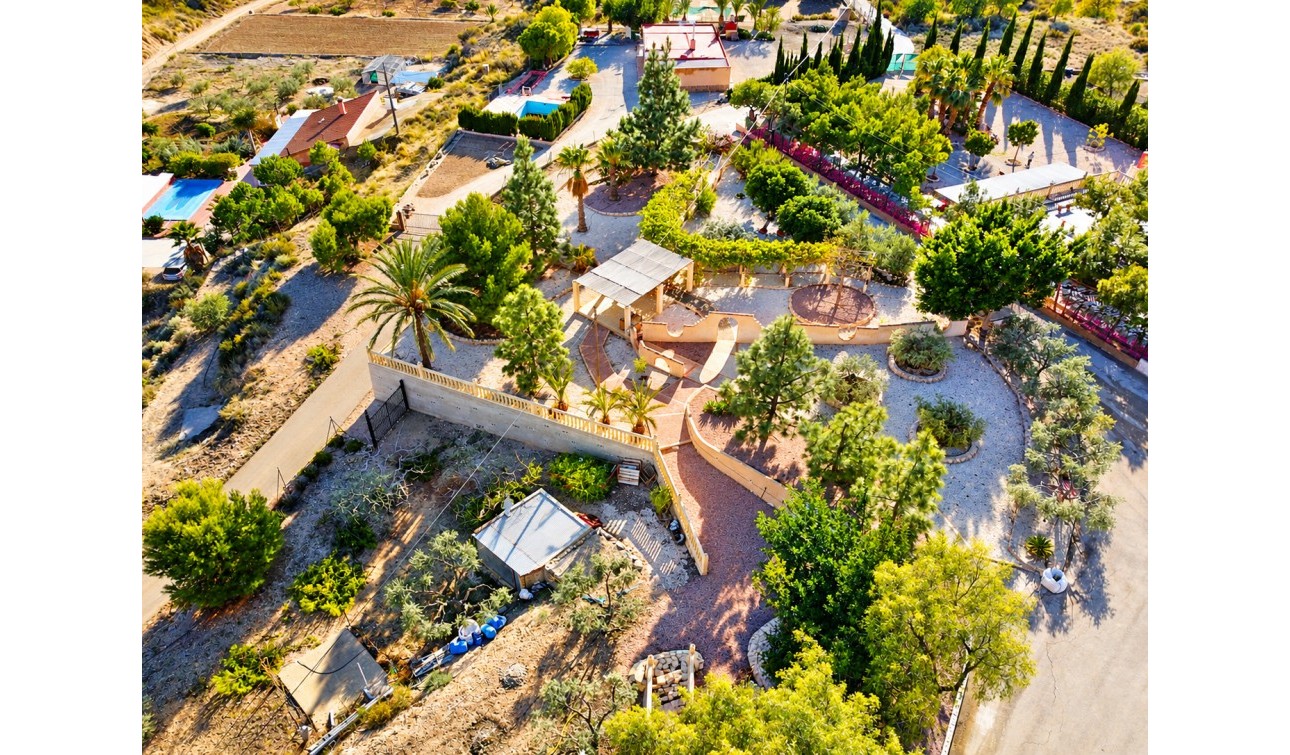 Resale - Finca / Country Property - Crevillente