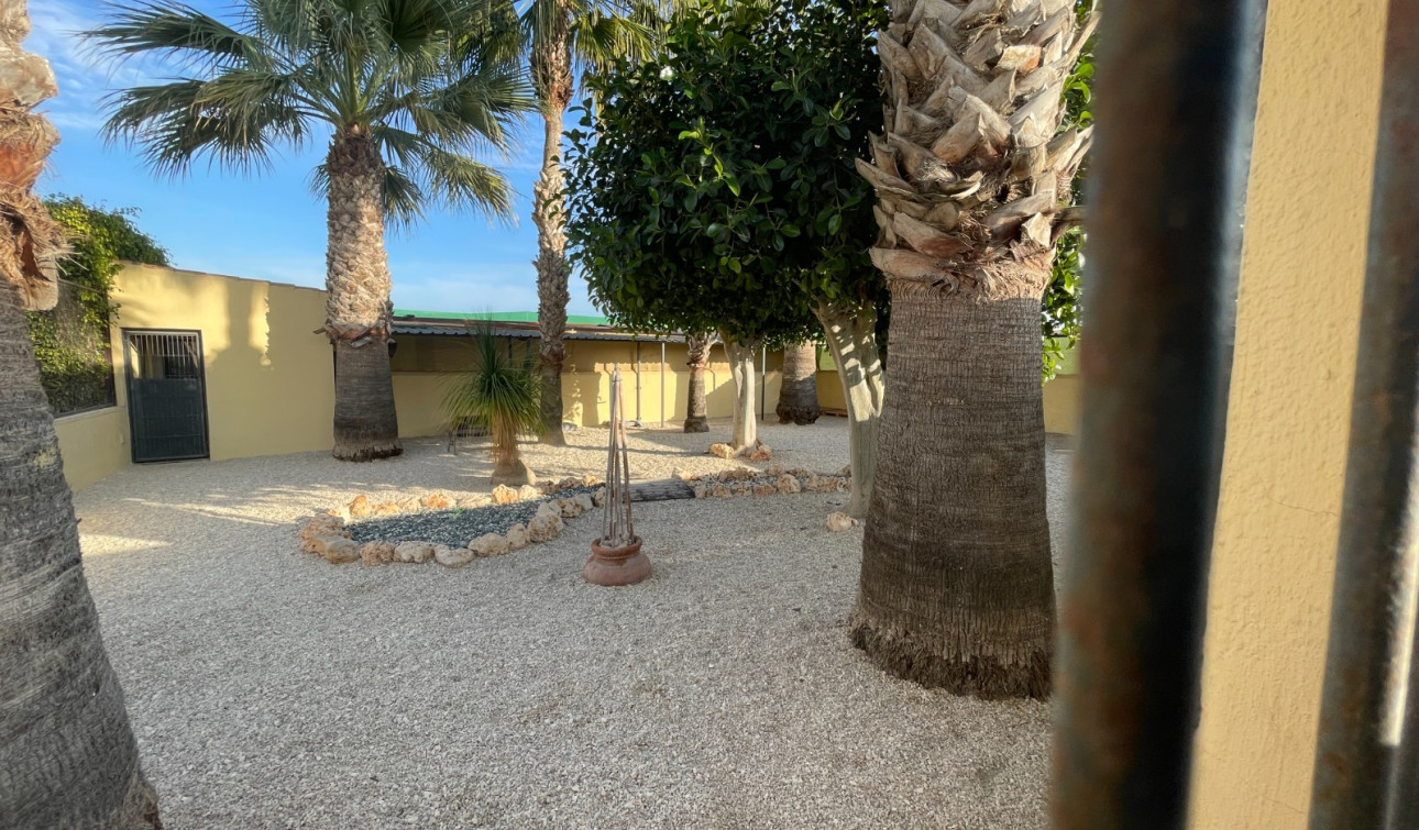 Resale - Finca / Country Property - Elche - Las Bayas