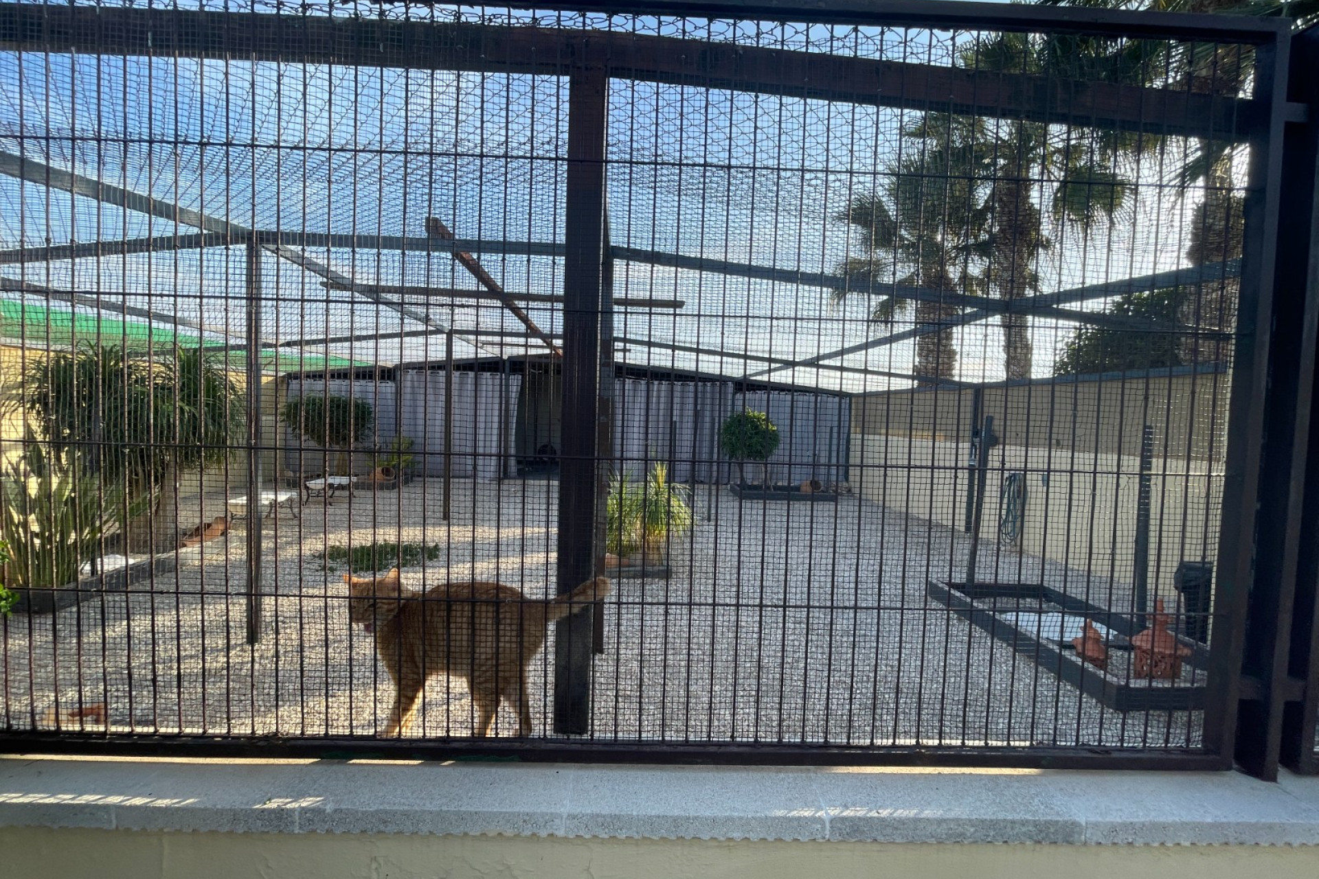 Resale - Finca / Country Property - Elche - Las Bayas