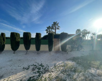 Resale - Finca / Country Property - Elche - Las Bayas