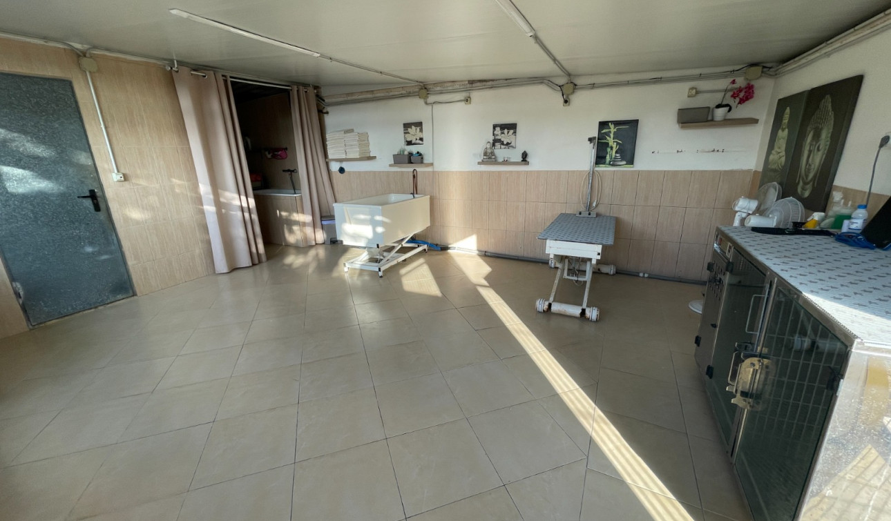 Resale - Finca / Country Property - Elche - Las Bayas