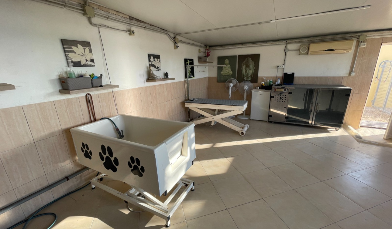 Resale - Finca / Country Property - Elche - Las Bayas