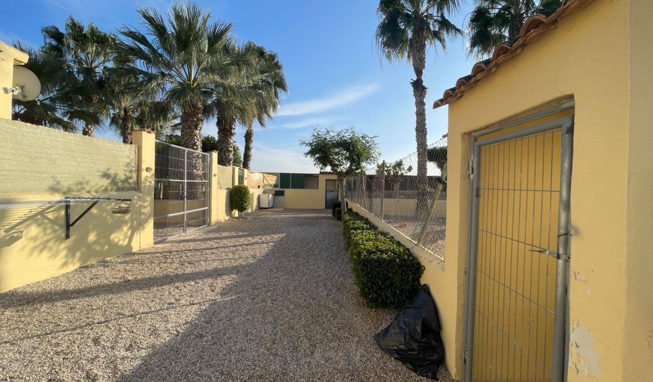 Resale - Finca / Country Property - Elche - Las Bayas