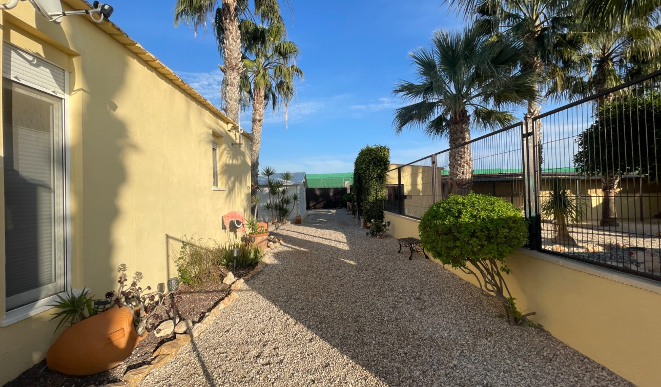 Resale - Finca / Country Property - Elche - Las Bayas