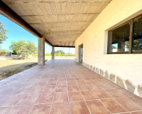 Resale - Finca / Country Property - Elche - Matola